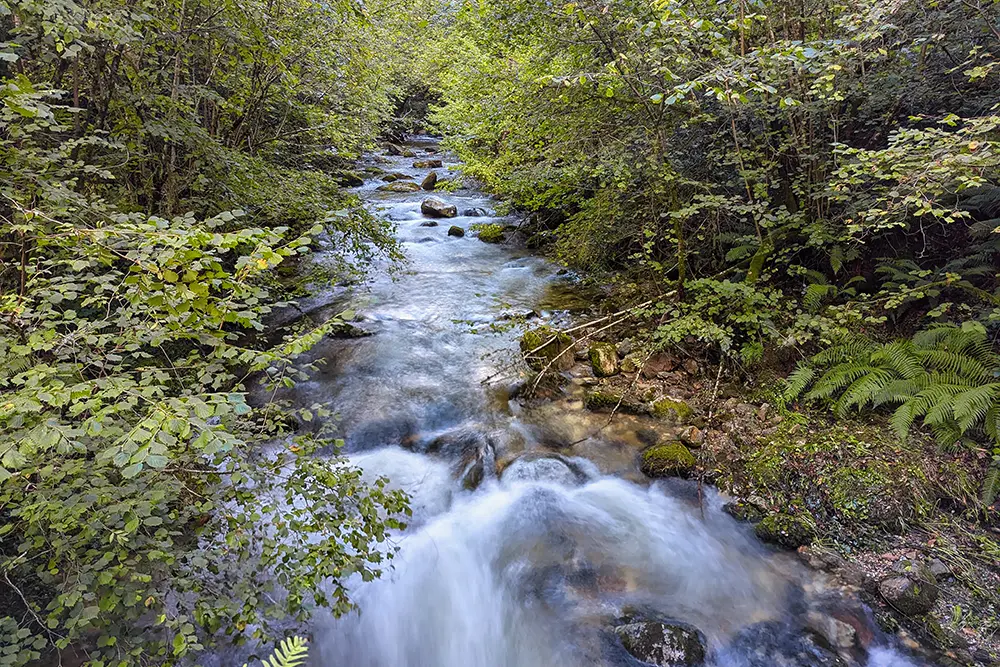 Área recreativa de Pesancas Asturias